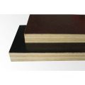 Birch Plywood Phenolic Glue Used for Concrete